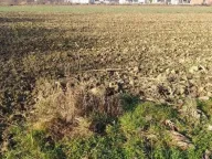 Prodaja, plac, 6m², Ub, Srbija - image 4