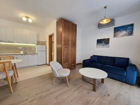 Izdavanje, garsonjera, 25m², Momišići, Podgorica - image 2