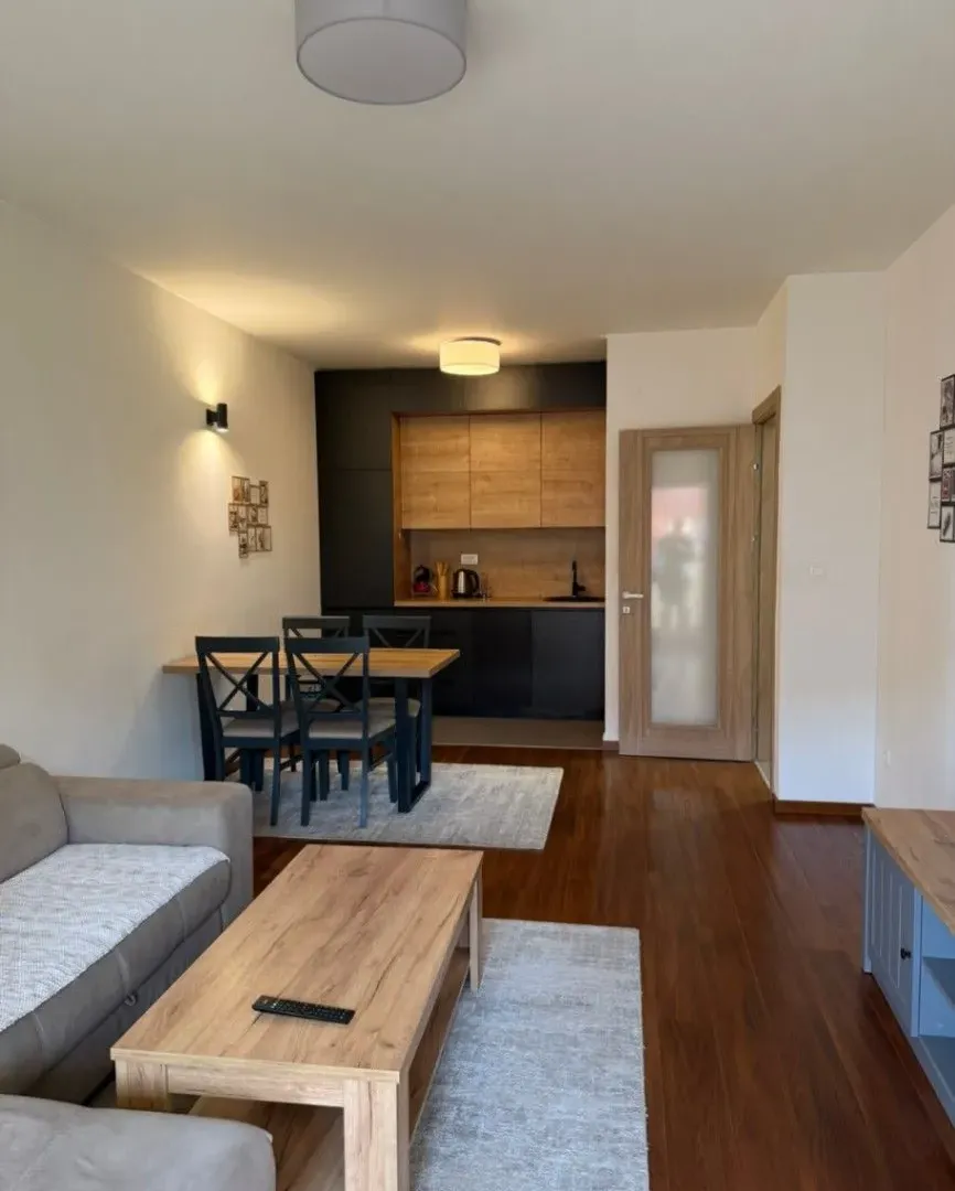 Izdavanje, jednosoban stan, 50m², City Kvart, Podgorica