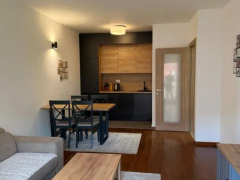 Izdavanje, jednosoban stan, 50m², City Kvart, Podgorica - image 1