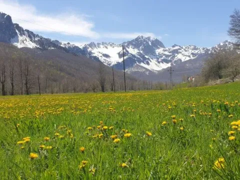 Prodaja, plac, 7145m², Donje Lipovo, Kolašin - image 1