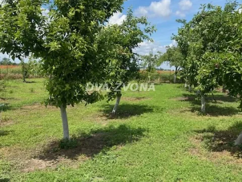 Sale, house, 37m², Čenej, Novi Sad Sve Podlokacije - image 2