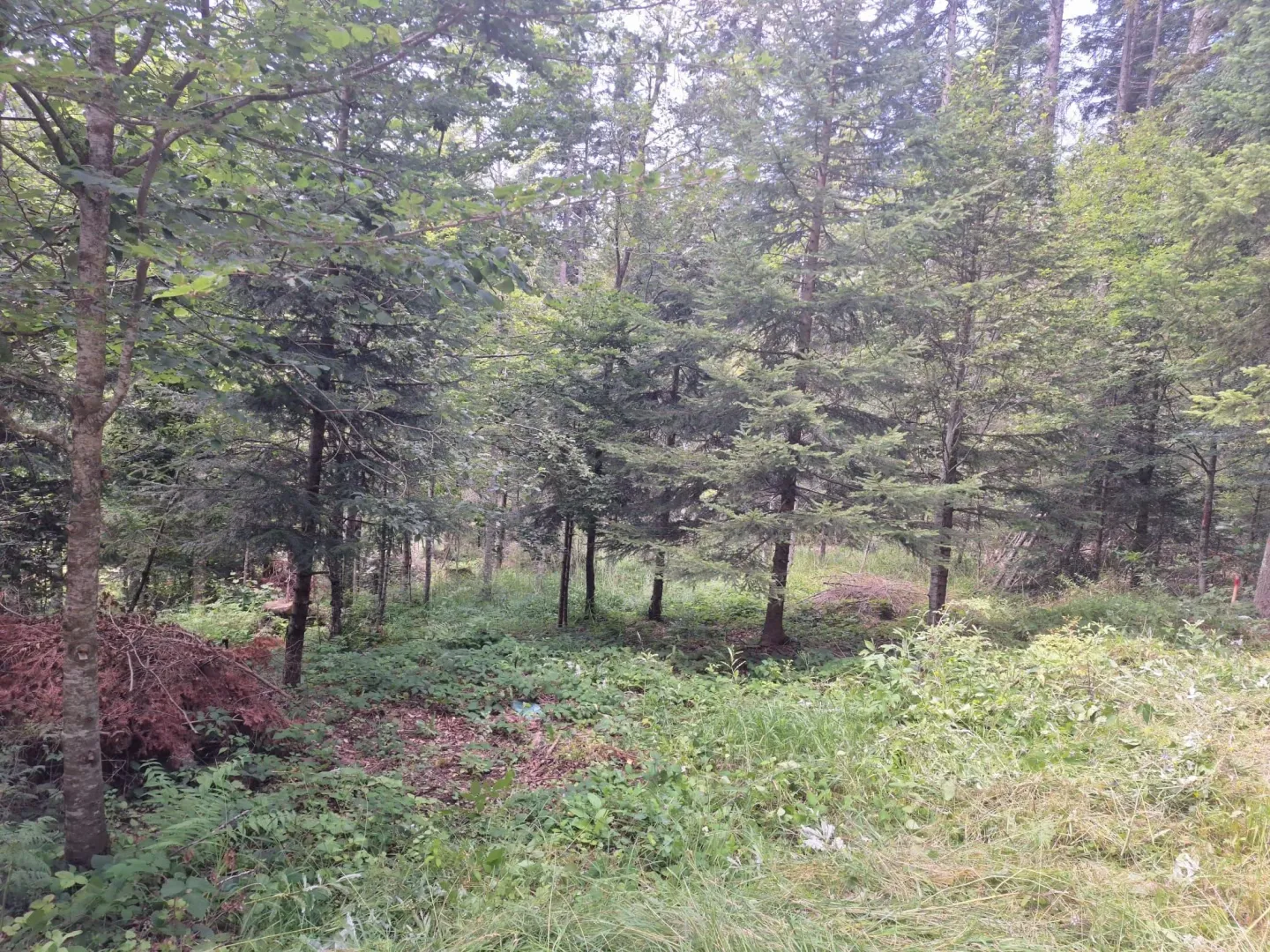 Prodaja, plac, 623m², Konjska Reka, Bajina Bašta