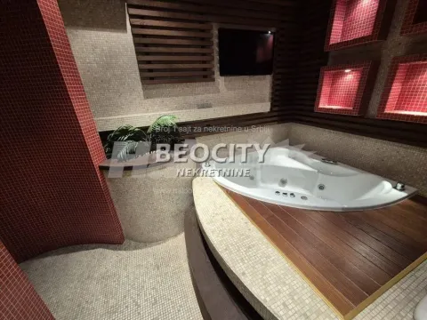 Izdavanje, jednosoban stan, 70m², Dedinje Sve Podlokacije, Beograd - image 5