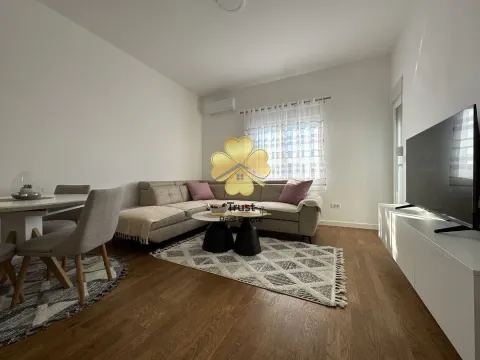 Izdavanje, jednosoban stan, 50m², Zabjelo, Podgorica - image 4