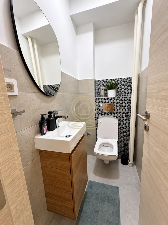 Smaller bathroom with a washbasin, mirror, and toilet.