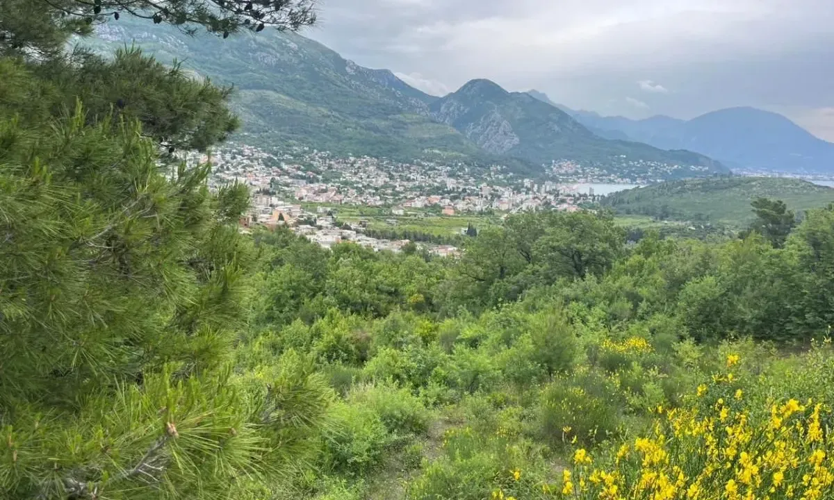 Sale, land lot, 1600m², Sutomore, Bar