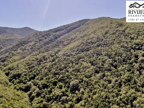 Prodaja, plac, 38868m², Zelenika, Herceg Novi - image 7