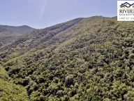 Sale, land lot, 38868m², Zelenika, Herceg Novi - image 7