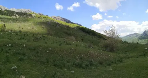Zeleni teren i brdoviti pejzaž sa pogledom na planine. - image 6
