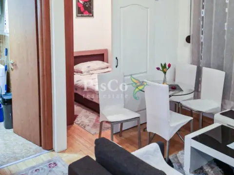 Izdavanje, jednosoban stan, 30m², Preko Morače, Podgorica - image 2