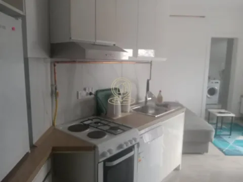 Rent, two bedroom apartment, 40m², Veternik, Novi Sad Sve Podlokacije - image 3