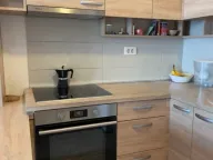 Izdavanje, jednosoban stan, 50m², Ljubović, Podgorica - image 2