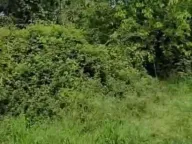 Sale, house, 2401m², Rogami, Podgorica - image 8