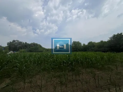 Prodaja, plac, 2902m², Jagodina, Srbija - image 5