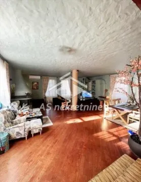 Rent, house, 367m², Jajinci, Voždovac Sve Podlokacije - image 23