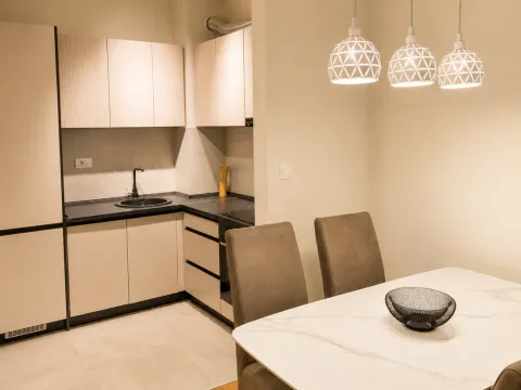 Izdavanje, jednosoban stan, 42m², Central Point, Podgorica - image 4