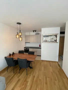 Rent, one bedroom apartment, 45m², Podgorica, Crna Gora - image 6