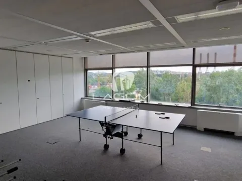 Rent, office space, 772m², Novi Beograd Blok 67, Novi Beograd Sve Podlokacije - image 8