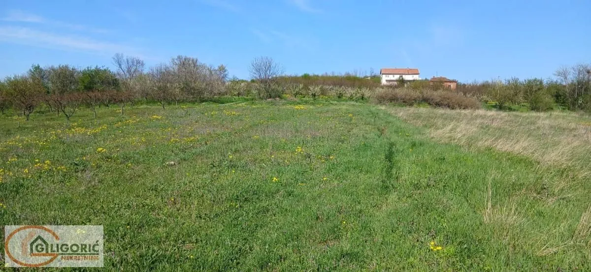 Sale, land lot, 5220m², Grocka, Beograd