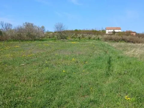 Prodaja, plac, 5220m², Grocka, Beograd - image 3