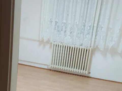 Prodaja, dvosoban stan, 48m², Satelit, Novi Sad Sve Podlokacije - image 2