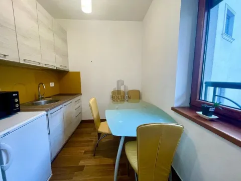 Izdavanje, dvosoban stan, 45m², Vračar, Šid - image 4