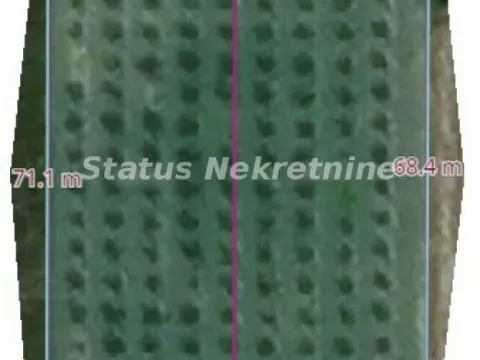 Prodaja, plac, 3000m², Banja Vrdnik, Irig - image 8