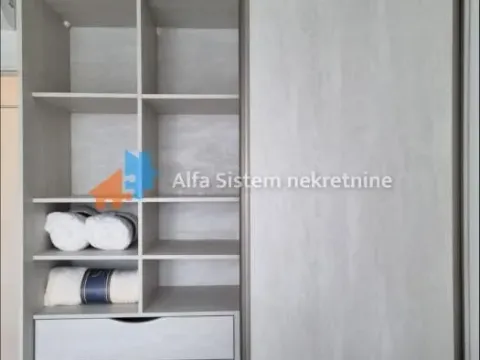 Izdavanje, dvosoban stan, 57m², Savski Venac, Beograd - image 9