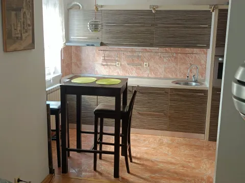 Izdavanje, dvosoban stan, 45m², Zvezdara Sve Podlokacije, Beograd - image 4