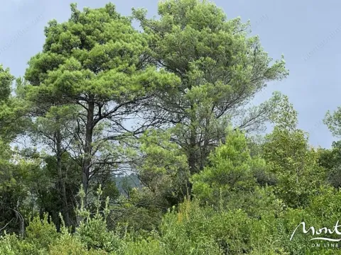 Sale, land lot, 1219m², Tivat, Crna Gora - image 3