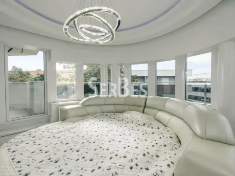 Izdavanje, stan, 360m², Socijalno, Novi Sad Sve Podlokacije - image 10