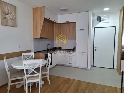 Izdavanje, jednosoban stan, 48m², Stari Aerodrom, Podgorica - image 7