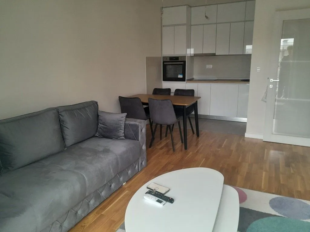 Rent, one bedroom apartment, 45m², Zabjelo, Podgorica