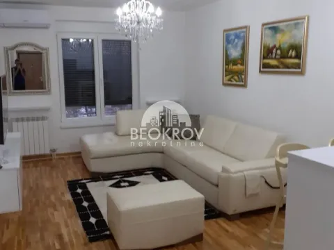 Izdavanje, dvosoban stan, 49m², Profesorska Kolonija, Palilula Sve Podlokacije - image 3