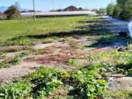 Prodaja, plac, 7400m², Zeta, Podgorica - image 3