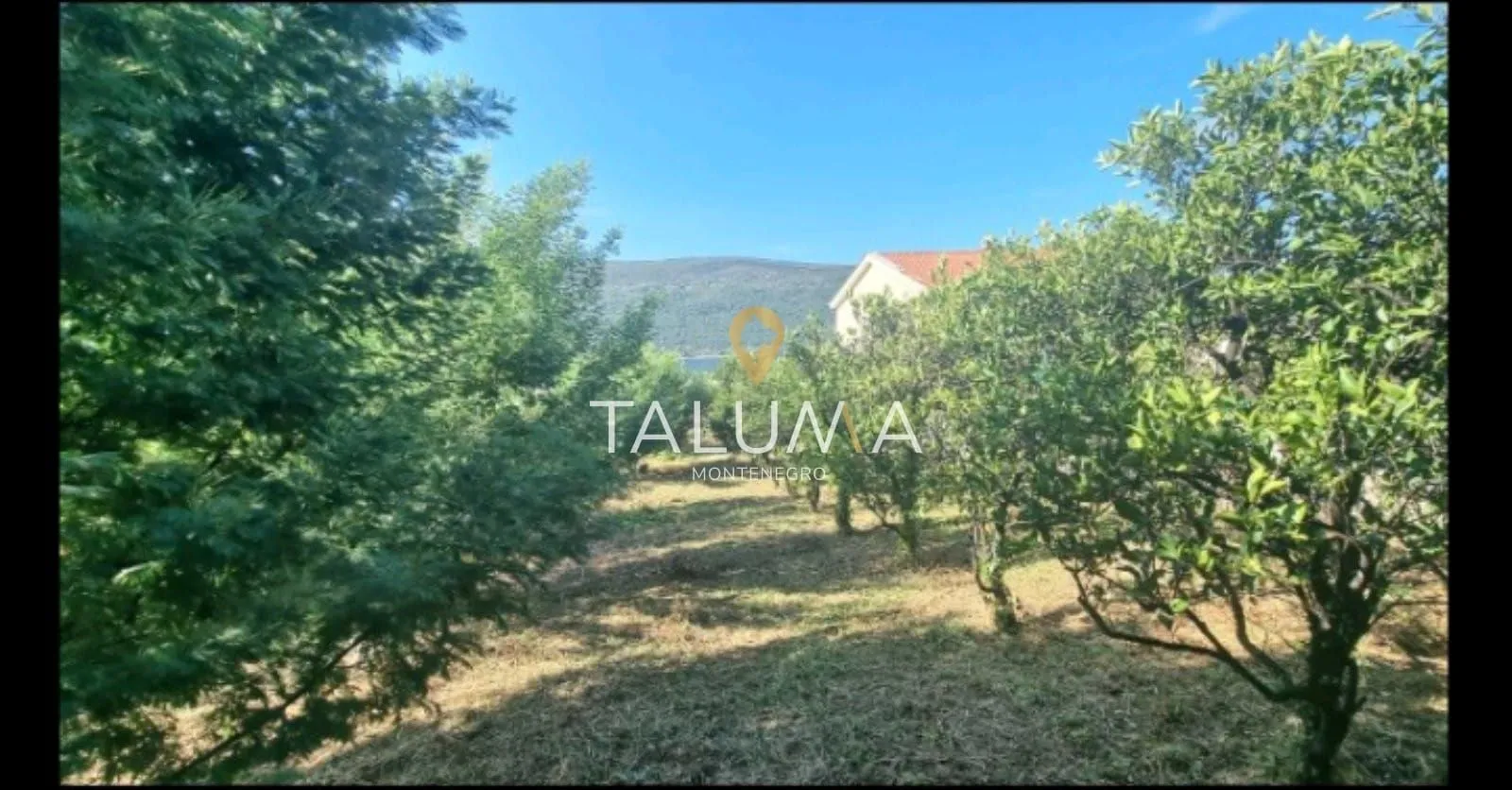 Prodaja, plac, 1658m², Kumbor, Herceg Novi