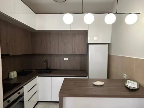 Izdavanje, jednosoban stan, 46m², Zabjelo, Podgorica - image 4