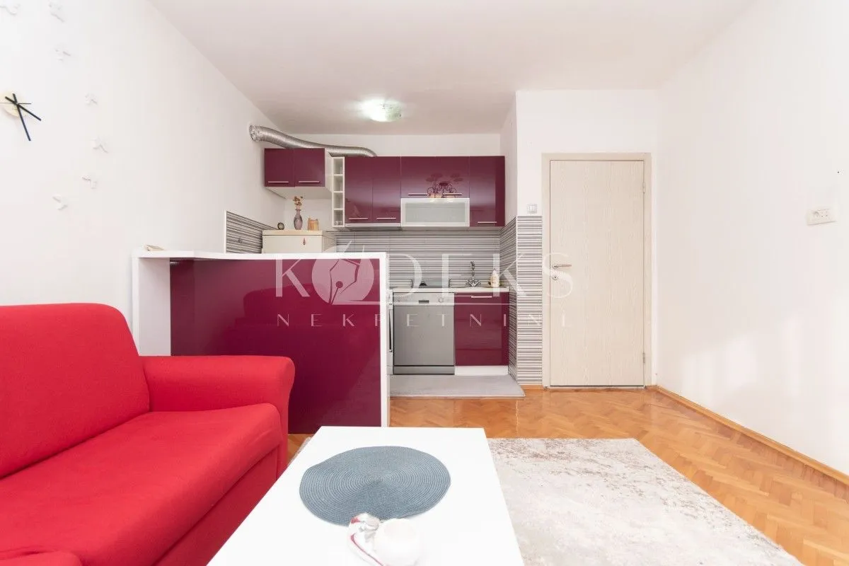 Rent, one bedroom apartment, 43m², Centar, Podgorica