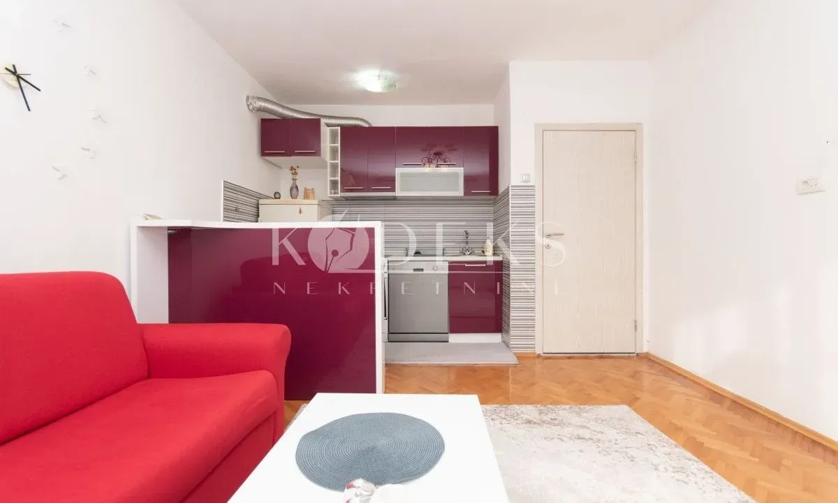 Izdavanje, jednosoban stan, 43m², Centar, Podgorica