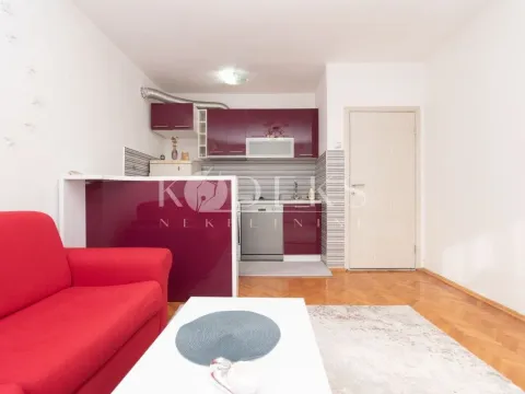 Rent, one bedroom apartment, 43m², Centar, Podgorica - image 1