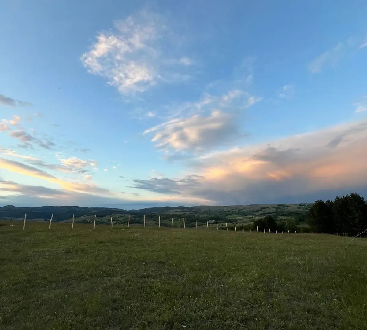 Prodaja, plac, 7500m², Tometino Polje, Požega