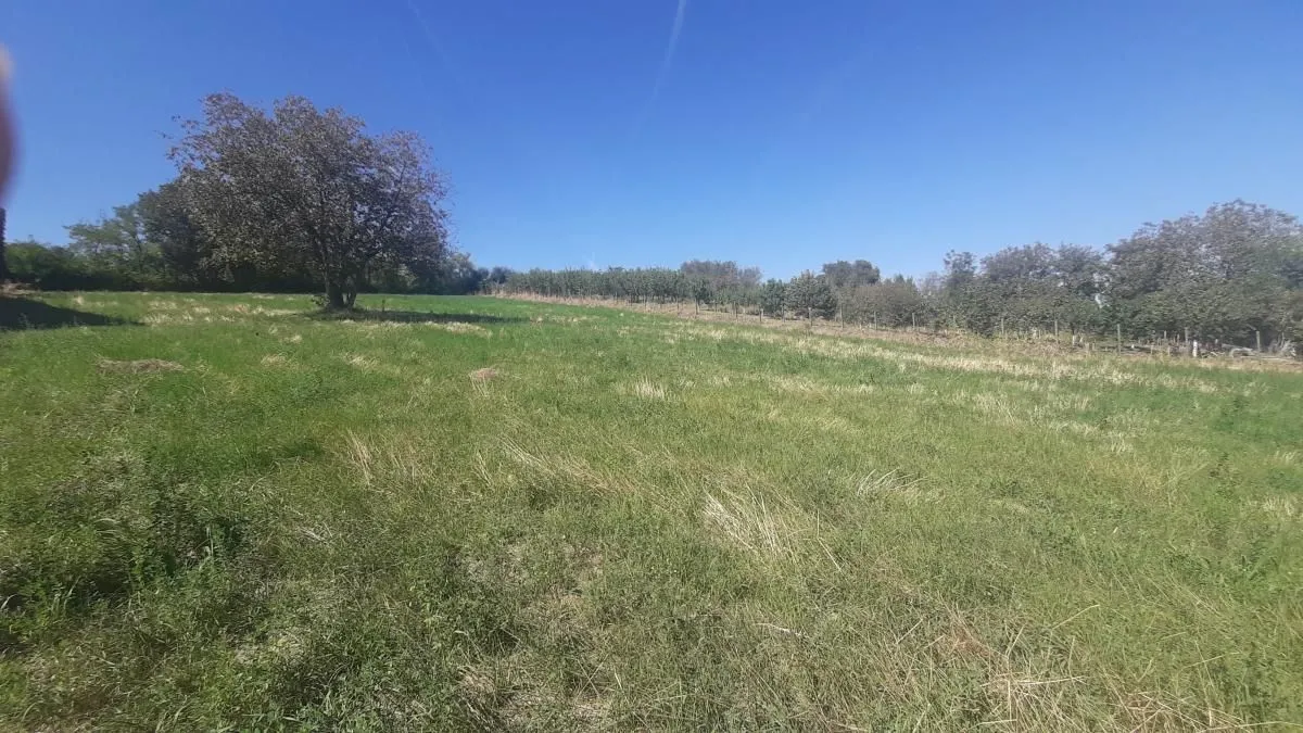 Prodaja, plac, 2800m², Petrovaradin, Novi Sad