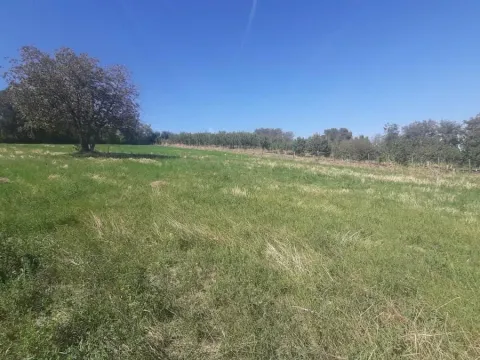 Prodaja, plac, 2800m², Petrovaradin, Novi Sad - image 2