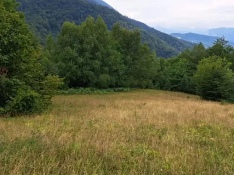 Sale, land lot, 11469m², Mojkovac, Crna Gora - image 3