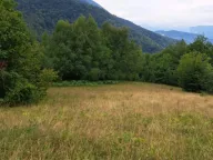 Sale, land lot, 11469m², Mojkovac, Crna Gora - image 3