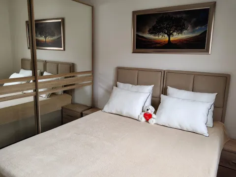 Furnished bedroom with a double bed and a large mirrored wardrobe. - image 9