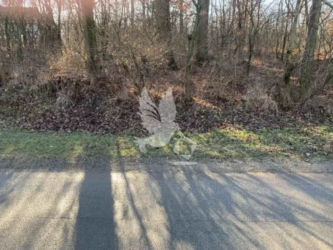 Prodaja, plac, 4000m², Koraćica, Mladenovac - image 5