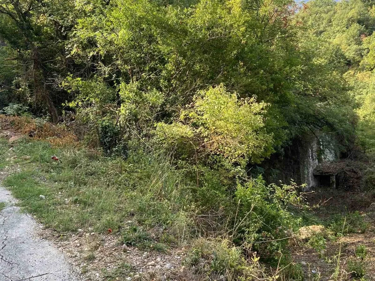 Prodaja, plac, 15400m², Bar, Crna Gora