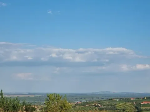 Prodaja, plac, 1438m², Petrovaradin, Novi Sad - image 7